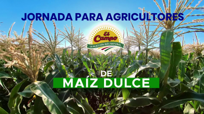 El Campo organiza una exitosa jornada para agricultores de maíz dulce sobre agricultura y sostenibilidad